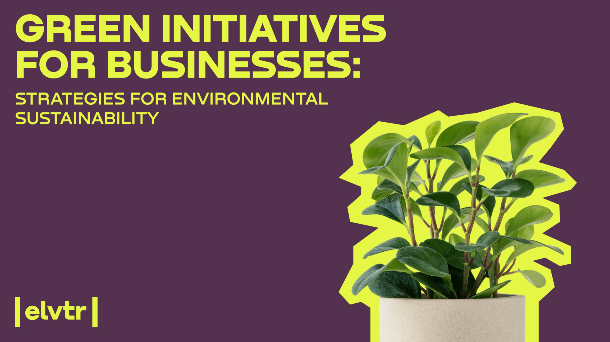 Green Initiatives for Businesses: Strategies for Environmental Sustainability image