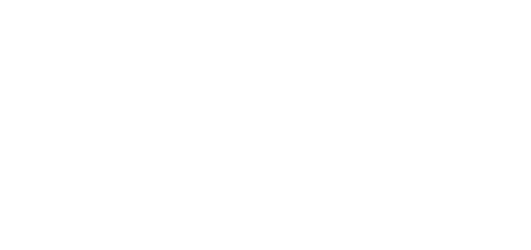 Blizzard logo