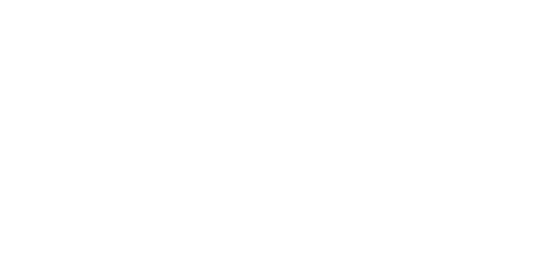 Soundtoys logo