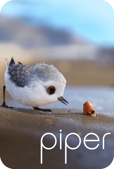 The poster of Piper, featuring a small bird standing on a sandy beach